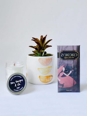 Succer for Love Gift Pack - Succulent in Pot, Mrs Nargar Candle and Zokoko Goddess Chocolate Bar
