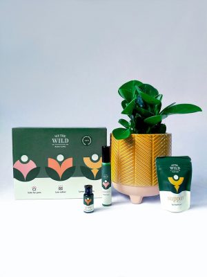 Plant Newbie Mini Plant and Care Pack